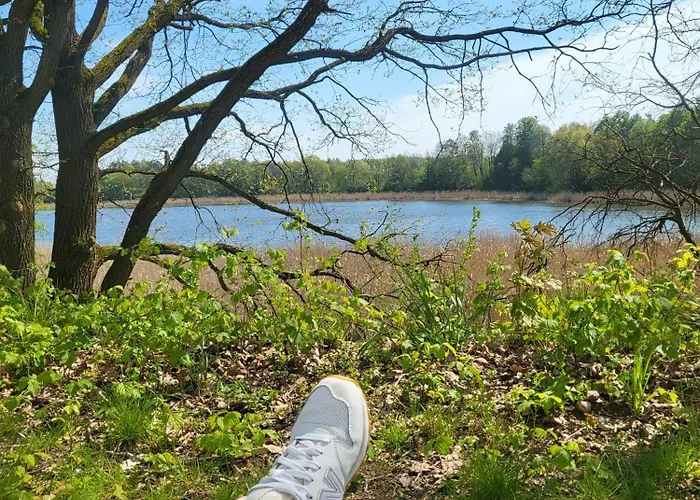 Lägenhet Przystan Natura *