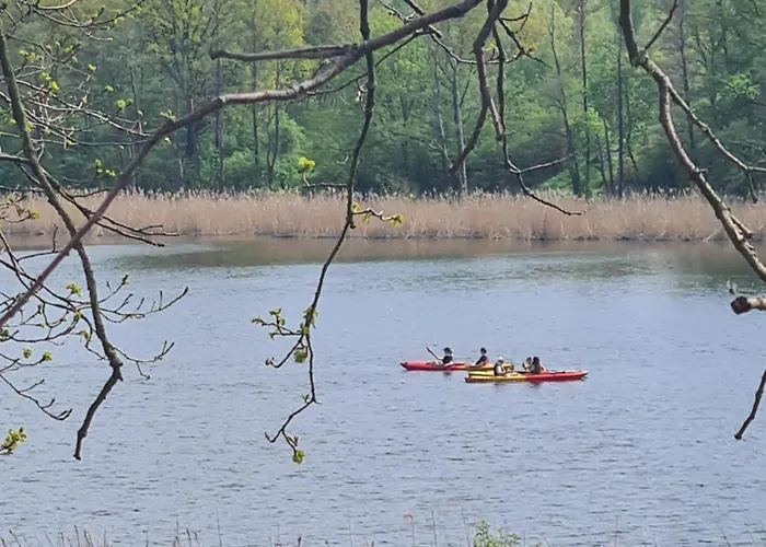 Lägenhet Przystan Natura